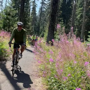 Explore Oregon Crater Lake Bike Tour for 6 days with Bicycle Adventures and discover unforgettable experiences - Photo 6