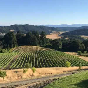 Explore Willamette Valley: A Promised Land Bike Tour for 5 days with Bicycle Adventures and discover unforgettable experiences - Photo 9