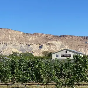 Explore Arches & Canyonlands Multisport for 6 days with Bicycle Adventures and discover unforgettable experiences - Photo 10