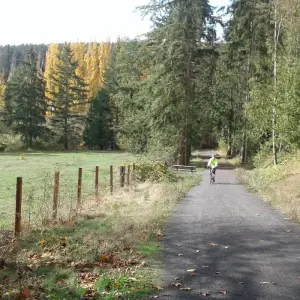 Explore Olympic National Park & Discovery Trail Bike Tour for 6 days with Bicycle Adventures and discover unforgettable experiences - Photo 8