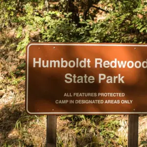 Explore Redwoods & Coast Multisport Tour for 6 days with Bicycle Adventures and discover unforgettable experiences - Photo 2