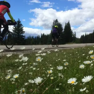 Explore Glacier-Waterton-Banff Bike Tour for 8 days with Bicycle Adventures and discover unforgettable experiences - Photo 3