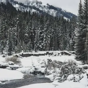 Explore 6 day Yellowstone Winter Wonderland Tour for 6 days with Bindlestiff Tours and discover unforgettable experiences - Photo 3