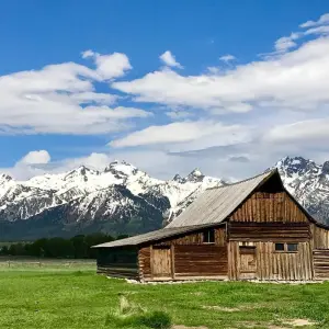 Explore 4 day Yellowstone and Tetons in depth tour from Salt Lake City Small Groups Tour for 4 days with Bindlestiff Tours and discover unforgettable experiences - Photo 4
