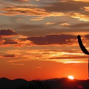 Explore Arizona Sonora Bike Tour for 6 days with Bicycle Adventures and discover unforgettable experiences - Photo 11