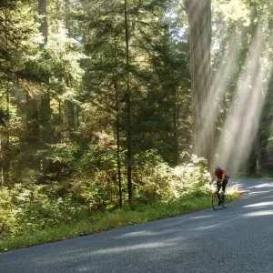Explore Redwoods & Coast Multisport Tour for 6 days with Bicycle Adventures and discover unforgettable experiences - Photo 8