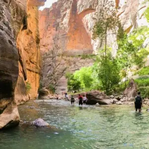 Explore Private Zion Canyon Day Tour for 1 days with Bindlestiff Tours and discover unforgettable experiences - Photo 3