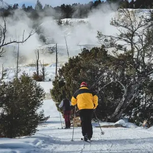 Explore 6 day Yellowstone Winter Wonderland Tour for 6 days with Bindlestiff Tours and discover unforgettable experiences - Photo 11
