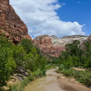 Explore Private Zion Canyon Day Tour for 1 days with Bindlestiff Tours and discover unforgettable experiences - Photo 5