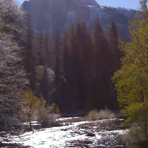 Explore Best of the West 11 Day National Parks Tour Lodging Las Vegas to San Francisco for 11 days with Bindlestiff Tours and discover unforgettable experiences - Photo 9