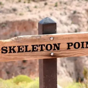 Explore Grand Canyon South Rim Private Tour for 1 days with Bindlestiff Tours and discover unforgettable experiences - Photo 8