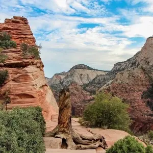 Explore Private Zion Canyon Day Tour for 1 days with Bindlestiff Tours and discover unforgettable experiences - Photo 8