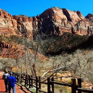 Explore Private Zion Canyon Day Tour for 1 days with Bindlestiff Tours and discover unforgettable experiences - Photo 10