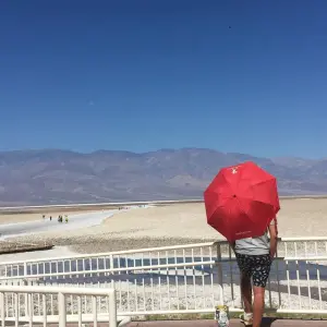 Explore Private Tour 4 Day Death Valley Yosemite San Francisco from Las Vegas Lodging for 4 days with Bindlestiff Tours and discover unforgettable experiences - Photo 2