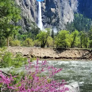 Explore Private Tour 4 Day Death Valley Yosemite San Francisco from Las Vegas Lodging for 4 days with Bindlestiff Tours and discover unforgettable experiences - Photo 3