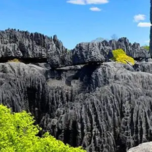 Explore Tsiribihina river trip, Tsingy de Bemaraha, and the Avenue of the Baobabs for 12 days with Bio D Island LLC and discover unforgettable experiences - Photo 2
