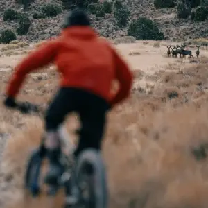 Explore Nevada Trails to Rails small group beginner and intermediate bike and hike 7 day tour-  max of 8 guests. for 7 days with Bindlestiff Tours and discover unforgettable experiences - Photo 4