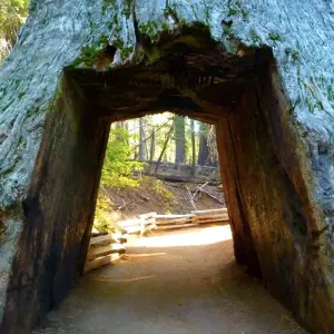 Explore Private Tour 4 Day Death Valley Yosemite San Francisco from Las Vegas Lodging for 4 days with Bindlestiff Tours and discover unforgettable experiences - Photo 5