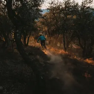 Explore Nevada Trails to Rails small group beginner and intermediate bike and hike 7 day tour-  max of 8 guests. for 7 days with Bindlestiff Tours and discover unforgettable experiences - Photo 5