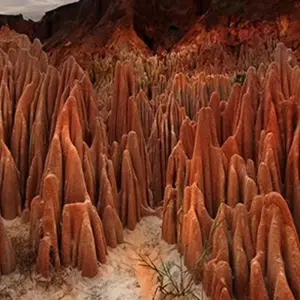 Explore Madagascar's top destination : Nosy Be, the Emerald Sea, and the northern National Parks for 10 days with Bio D Island LLC and discover unforgettable experiences - Photo 5