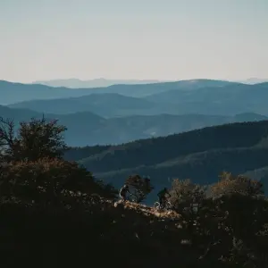 Explore Nevada Trails to Rails small group beginner and intermediate bike and hike 7 day tour-  max of 8 guests. for 7 days with Bindlestiff Tours and discover unforgettable experiences - Photo 7