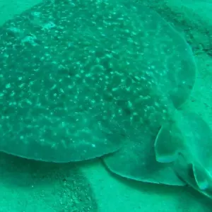 Explore Southern escapes: National Parks and Anakao’s coastal charm for 11 days with Bio D Island LLC and discover unforgettable experiences - Photo 6