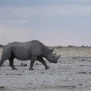 Explore 11 Days Namibia Experience Accommodated Tour for 11 days with Bluecrane Safaris Namibia and discover unforgettable experiences - Photo 2