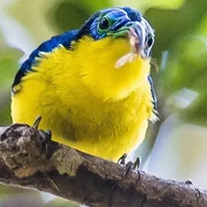 Explore Cultural and natural wealth of Madagascar for 11 days with Bio D Island LLC and discover unforgettable experiences - Photo 3