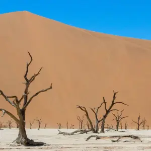 Explore 5 Days Sossusvlei & Coast Accommodated Tour for 5 days with Bluecrane Safaris Namibia and discover unforgettable experiences - Photo 2