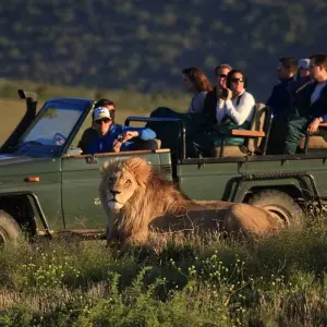 Explore 4 Day Garden Route Adventure for 4 days with Bokbus Garden Route Adventure Tours & Safaris and discover unforgettable experiences - Photo 2