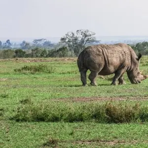 Explore 5 Day Garden Route Adventure Including Addo for 5 days with Bokbus Garden Route Adventure Tours & Safaris and discover unforgettable experiences - Photo 2