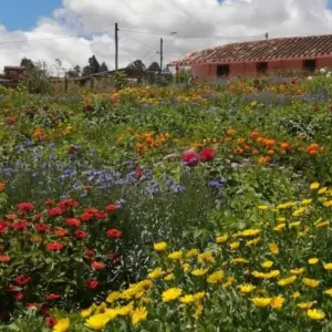 Explore 4 Days Medellin, Guatape, Coffee, and More for 4 days with BnB Colombia Tours and discover unforgettable experiences - Photo 2