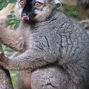 Explore Cultural and natural wealth of Madagascar for 11 days with Bio D Island LLC and discover unforgettable experiences - Photo 6