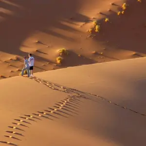 Explore 5 Days Sossusvlei & Coast Accommodated Tour for 5 days with Bluecrane Safaris Namibia and discover unforgettable experiences - Photo 5