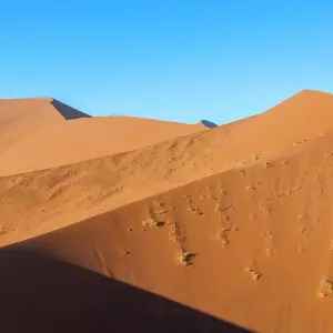 Explore 15 Days Namibia Highlights Accommodated Safari for 15 days with Bluecrane Safaris Namibia and discover unforgettable experiences - Photo 6