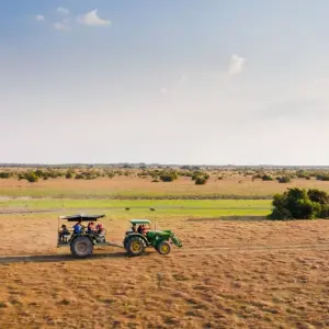 Explore 4 Days Living the Casanare Culture for 4 days with BnB Colombia Tours and discover unforgettable experiences - Photo 2