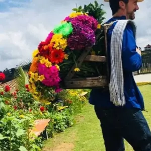 Explore 4 Days Medellin, Guatape, Coffee, and More for 4 days with BnB Colombia Tours and discover unforgettable experiences - Photo 3