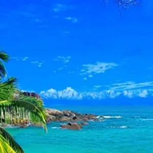 Explore Eastern part of Madagascar: The biodiversity realm for 10 days with Bio D Island LLC and discover unforgettable experiences - Photo 7