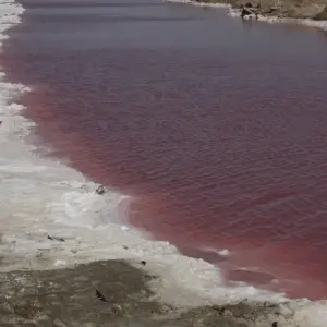 Explore 11 Days Namibia Experience Accommodated Tour for 11 days with Bluecrane Safaris Namibia and discover unforgettable experiences - Photo 6