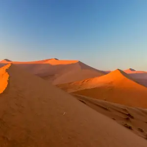 Explore 10 Days Northern Namibia, Damaraland, Coast & Sossusvlei Camping Safari for 10 days with Bluecrane Safaris Namibia and discover unforgettable experiences - Photo 6