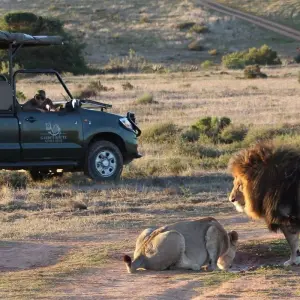 Explore 5 Day Garden Route Adventure Including Addo for 5 days with Bokbus Garden Route Adventure Tours & Safaris and discover unforgettable experiences - Photo 4