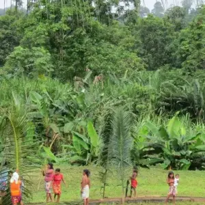 Explore Kipara-TE Indigenous for 3 days with BnB Colombia Tours and discover unforgettable experiences - Photo 2