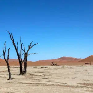 Explore 5 Days Sossusvlei & Coast Accommodated Tour for 5 days with Bluecrane Safaris Namibia and discover unforgettable experiences - Photo 7