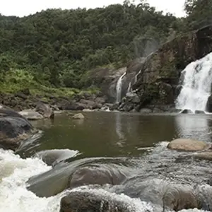 Explore Cultural and natural wealth of Madagascar for 11 days with Bio D Island LLC and discover unforgettable experiences - Photo 8