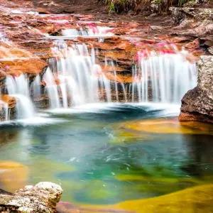 Explore 3-5 Days Caño Cristales, 7 Colored River for 5 days with BnB Colombia Tours and discover unforgettable experiences - Photo 4