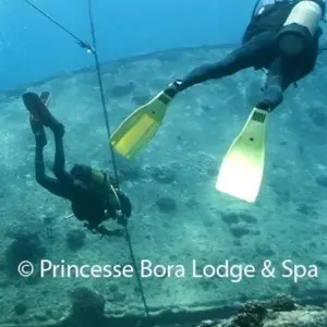 Explore Sea, Sun, and Sightseeing in Madagascar - 14 days for 14 days with Bio D Island LLC and discover unforgettable experiences - Photo 8