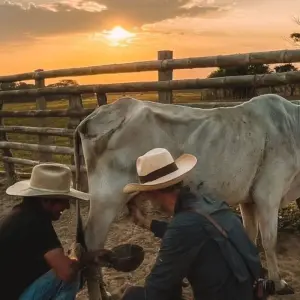Explore 3 Days Casanare – Colombian Cowboys And Wildlife for 3 days with BnB Colombia Tours and discover unforgettable experiences - Photo 4