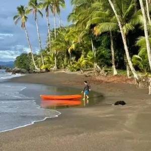 Explore The Pacific Coast Wilderness and Whale Watching for 4 days with BnB Colombia Tours and discover unforgettable experiences - Photo 3