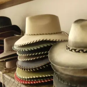 Explore 4 Days Living the Casanare Culture for 4 days with BnB Colombia Tours and discover unforgettable experiences - Photo 4