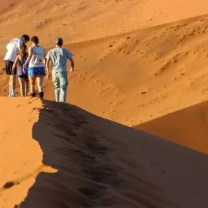 Explore 10 Days Northern Namibia, Damaraland, Coast & Sossusvlei Camping Safari for 10 days with Bluecrane Safaris Namibia and discover unforgettable experiences - Photo 8